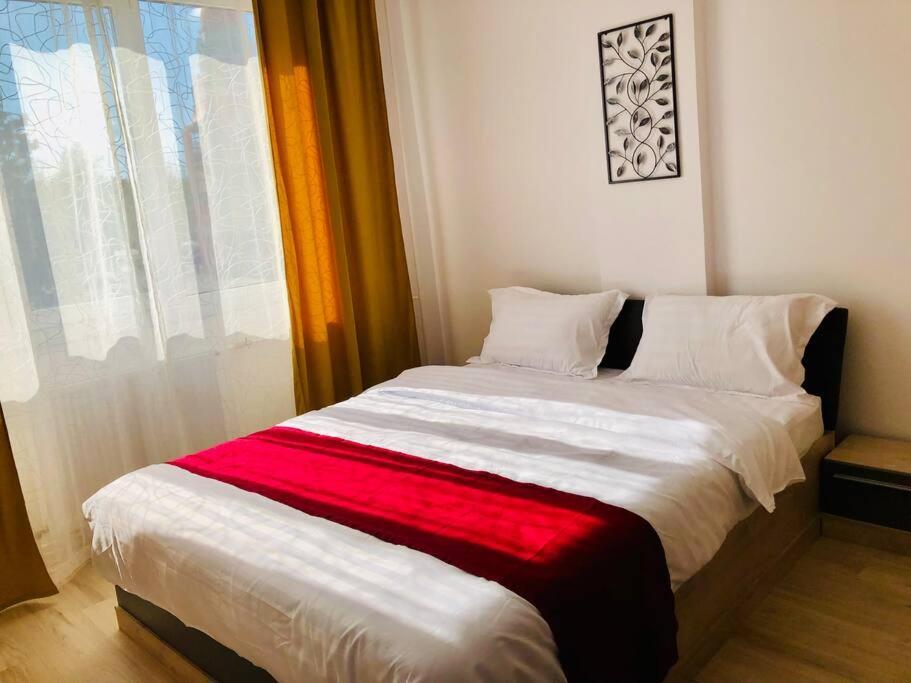 Joy City Stay Victoriei 7G-9 Temesvár Kültér fotó